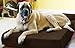 Barker Beds Orthopedic Dog Bed - 7
