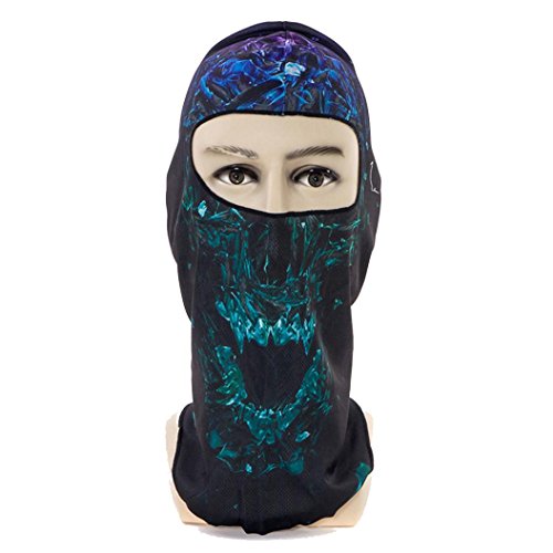 Vibola Fashion Windproof Outdoor Balaclava Full Face Mask Motorcycle Cycling Ski Snowbo hat (C)