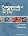 Fundamentals of Small Animal Surgery