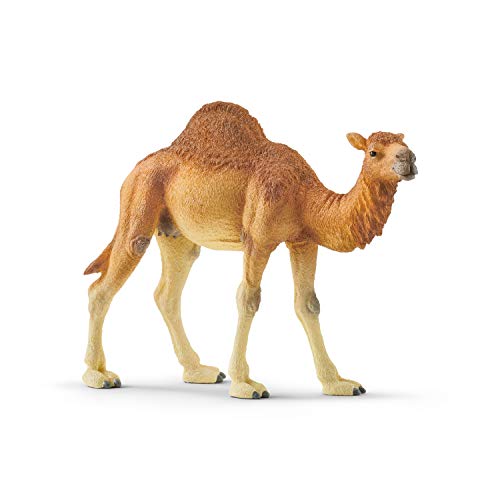 schleich WILD LIFE | Dromedar 14832 | detailgetreue Tierfiguren | Zoo Spielzeug | ideales Geschenk für Jungen und Mädchen | Deko für Geburtstag | Spielfigur ab 3 Jahren | 14 x 4 x 10 cm – Bild 2