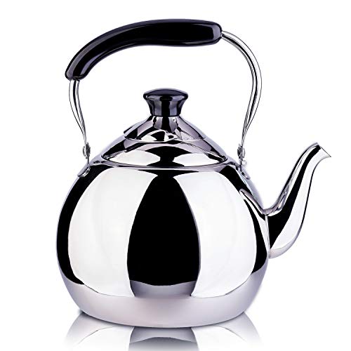 ROYDOM Whistling Tea Kettle Stainless Steel Teapot, 2-Liter Teakettle for Stovetop Induction Stove Top, Fast Boiling Heat Water Tea Pot Maker 2.1-Quart