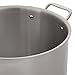 Amazon Brand – Stone & Beam Tri-Ply Stainless Steel Stockpot, 12-Quart