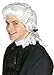 Rubies Men's Colonial Judge Costume Wig, White, One Size