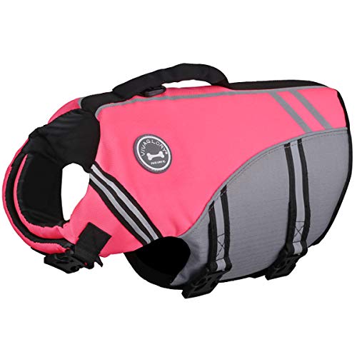 The Best Life Jackets For Dogs [2022 Review]