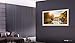LG OLED65C9PUA OLED65C9 65 inch LG C9 Series Class 4K Smart OLED TV w/ PS4 Pro 4K w/Wall Mount Kit w/HDMI Cable – LG Authorized Dealerthumb 4