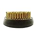 Flower Frog Round Holder for Arrangements 2.4“ Inch
