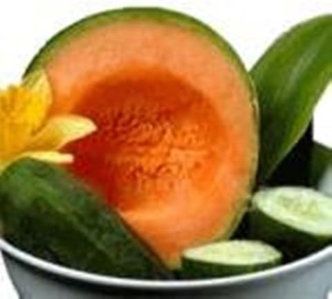 Natural Lip Balm - Cucumber Melon