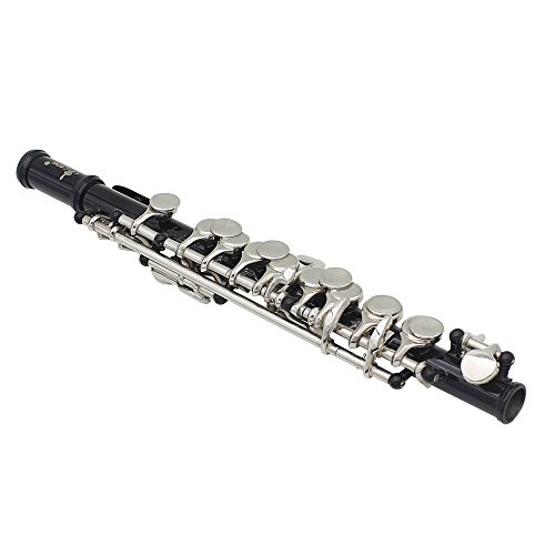 Andoer Piccolo Ottavino Half-size Flute Silver Plated C Key Cupronickel with Cleaning Cloth Screwdriver Padded Box (Black)