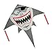 Falcon Kites Pirate Shark Kite with Tough Rip Stop Fabric