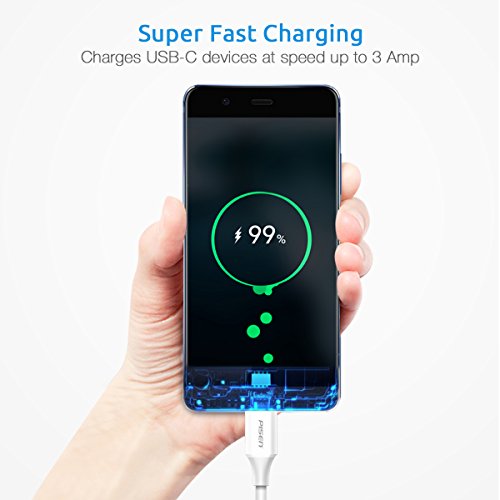 USB C to USB C Cable, Pisen 3.3ft Type C to Type C 3A Fast Charging and Syncing Cable for Samsung Galaxy S9 S8, ChromeBook Pixel, Apple Macbook Pro, Nintendo Switch and More