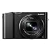 Panasonic LUMIX DMC-ZS100 Digital Camera (Black) Bundle with 64GB Memory Card, Cable, Battery with Dual Charger, Case with Accessories, and Video Software Suite (6 Items)