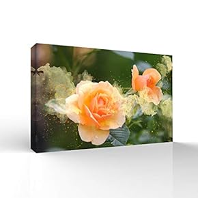 Beautiful Flowers Pictures Home Wall for Bedroom Living...