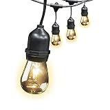 FEIT ELECTRIC 72041 30 Foot Heavy-duty Weather resistant Decorative indoor and outdoor 10 Sockets Incandescent String Lights, 30', 11W, Dimmable,Black