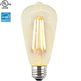 ZZ Lighting 4W LED Dimmable Filament Vintage Edison Light Bulb 40W Incandescent Bulb Equivalent 2300K 320LM E26 Base(Clear)
