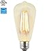 ZZ Lighting 4W LED Dimmable Filament Vintage Edison Light Bulb 40W Incandescent Bulb Equivalent 2300K 320LM E26 Base(Clear)