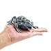 ValeforToy Frog Toys,Rubber Frog Figures Gift Replica Toy 3.5inch(Bullfrog),Great Safety Material TPR Super Stretchy, Realistic Frog Bathtub Reptile Toys