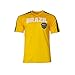 Pana brazil Jersey Flag Brasil Youth Training Custom Name and Number Soccer Any Sport Celebration World cup Olympic