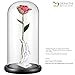 DEFAITH 24K Gold Dipped Real Rose Gifts, Best Wedding Anniversary Valentines Day Love Gift for Her Wife Girlfriend Spouse, Rainbow with Stand
