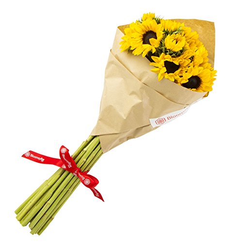 Sunflowers Hand-tied Bouquet- No Vase