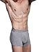Hoerev Pack of 4 Mens Super Soft And Comfortable Fiber Briefs Trunks Underwear，2Blue2Black，L