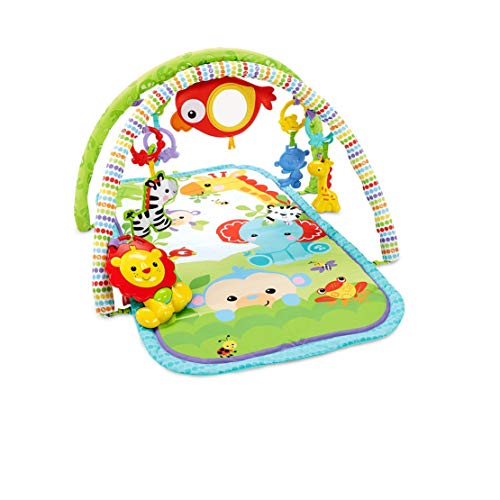 fisher price fmn39
