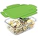 Bentgo Glass (Green) - Leak-Proof, 3-Compartment Oven-Safe Glass Lunch Container | Ideal for Portion-Control, Food Storage & Healthy On-the-Go Meals - FDA-Approved, BPA-Free, Food-Safe Materials