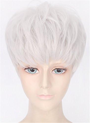 OYSRONG New 11.81'' Handsome Silver Short Straight Soft Touch Cosplay Lace Cap Wig For Men