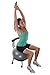 Gaiam Custom-Fit Balance Ball Chair - Exercise Stability Ball Adjustable Desk Chair for Home or Office with 55cm Yoga Ball, Air Pump, Exercise Guide and Satisfaction Guarantee, Grey