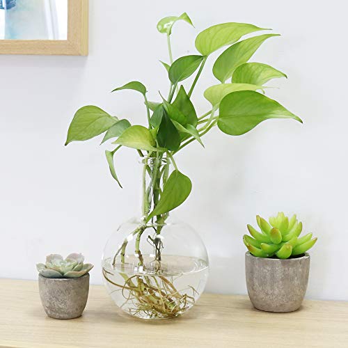 2 ULAB+Vol+250ml+Borosilicate+Material+UBF1008