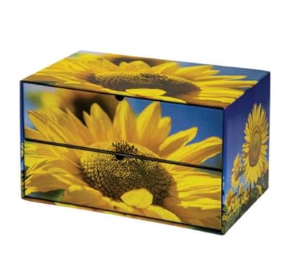 Cajoneras carton | Cajoneras