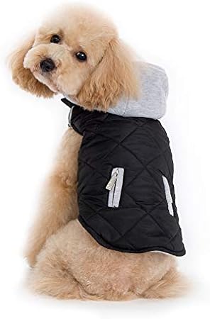 rottweiler puppy keeps biting