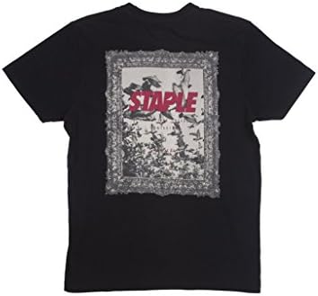 Staple Bird Frame Tee (2Xlarge, Black)
