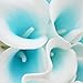 Lily Garden Mini 15