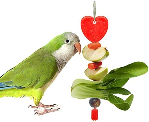 Bird Fruit Skewer, Parrot Vegetable Holder, Parakeet Treats Holder Hang on Cages Aviary for Small Medium Size Animals, Cockatiels, Cockatoo, Lovebirds, Conures, Parakeets (Random Color)