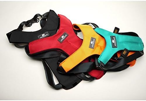 Sleepypod ClickIt Sport Crash-Tested Car Safety Dog Harness by Clickit Sport Harness