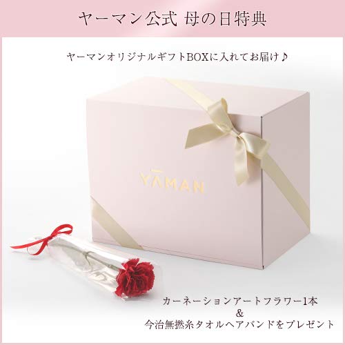 アセチノヘッドスパリフト 4月中旬以降随時出荷 19マザーズデー B07pyxhg7n ピンク ギフトセット 電動頭皮ブラシ 憧れ Dispora Jatimprov Go Id