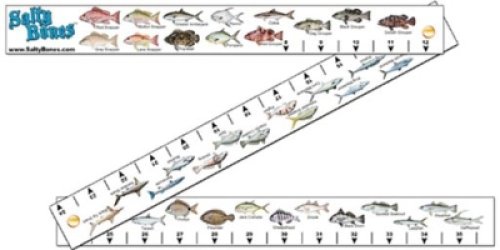 Salty Bones FS98 Ruler Folding Fish Stick w/o Rules (NoLaw)