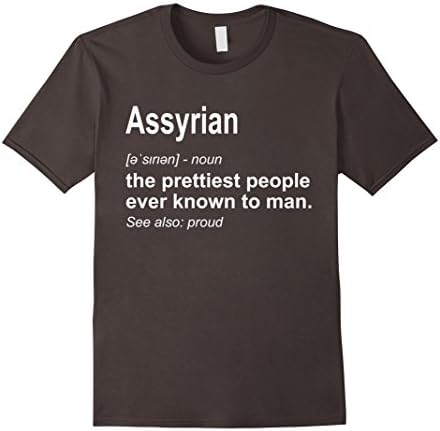 Mens Assyrian T Shirt Definition Tee 2XL Asphalt