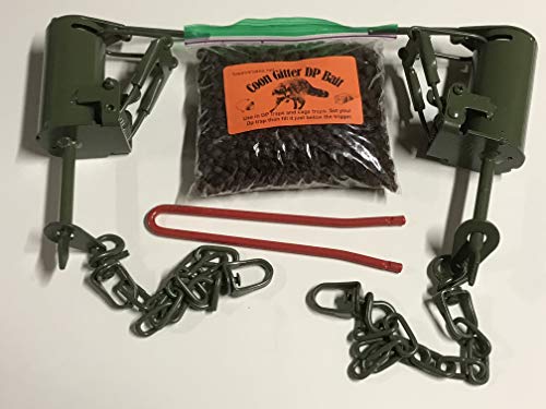 6 Duke Powder Coated Dog Proof Raccoon Traps 0510 | Traps