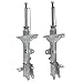 1291-RS - SENSEN Shocks Struts, Rear Set, Lifetime Warranty
