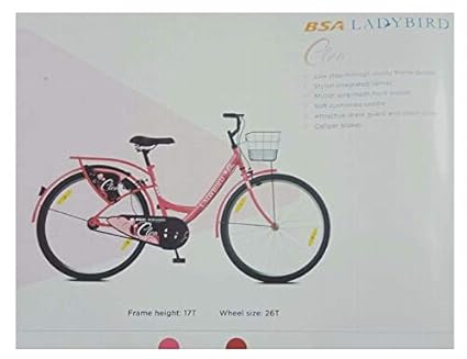 amazon ladybird cycle
