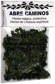 Grass Abre Camino