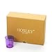 Hosley Set of 12 Votive/Tealight Holders - Your Choice of Colors. Ideal for Weddings, Parties, and Special Events (5-Purple)