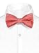 Men's Paisley Pre-Tied Bow Tie - Coral