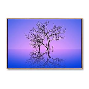 Framed Canvas Wall Art for Living Room, Bedroom Animals Canvas Prints for Home Decoration Ready to Hang - 16x24 inches