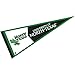 College Flags & Banners Co. North Texas Pennant Full Size Felt