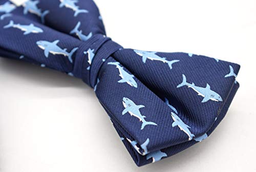 Carahere Men's Bow Ties Handmade Adjustable Pre-Tied Fun Pattern Bow Ties For Men (13R)