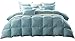 SNOWMAN Premium Down Comforter Queen Size, Luxurious All Season Duvet Insert with Cotton Blended Fabric, 37oz Fill Weight 3D Baffle Box Design Hotel Bedding Comforter (Blue,90