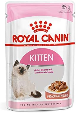 Qual a melhor ração para gatinhos filhotes?