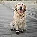 BINGPET Dog Shoes Waterproof Dog Boots, Paw Protectors with Reflective and Adjustable Straps, Anti-Slip for Indoor & Outdoor Wear